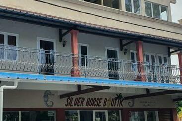 Silver Horse - Palmar