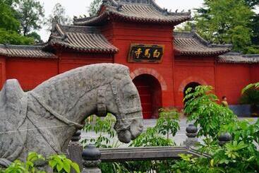 هتل 7days Premium Luoyang Peony Park Shanghai Market Branch