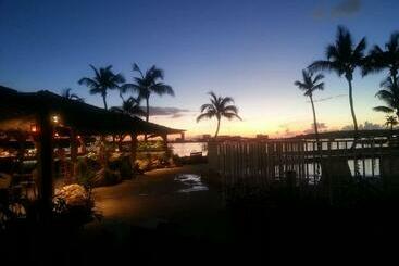 Just In Paradise