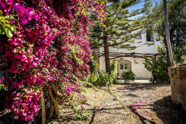 تختخواب و صبحانه Villa Puolo Sorrento