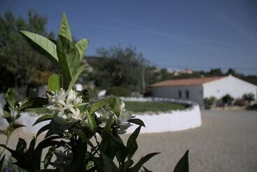Suite Swimming Pool Quinta Da Eira 140 Years Old