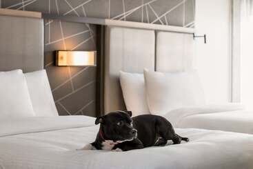 هتل Springhill Suites By Marriott Camp Hill