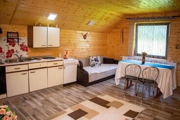 پانسیون Cabana Ancuța
