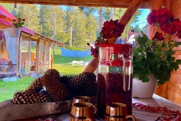 پانسیون Cabana Ancuța