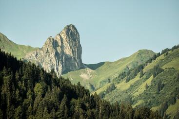 Boutiquehotel Das Edelweiss