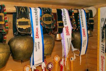 Bauernhof Lingg Huberta - Almhof Lingg