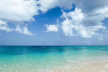 هتل The Sandpiper