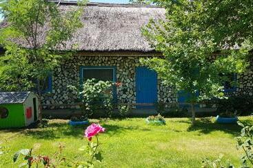Pensiunea Iubire De Delta  La Traian