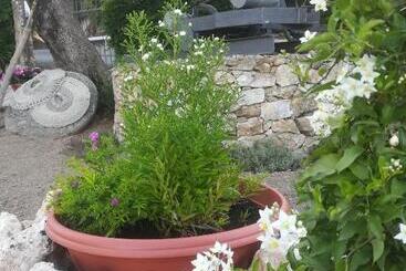 B&b Polline & Conchiglie
