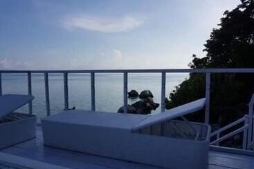 هتل Eco Dive Resort Alycastre