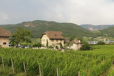 هتل Weinbergsuite Panholzer