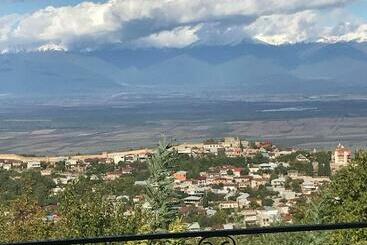 پانسیون Family Hotel In Nukriani , 2km From Sighnaghi