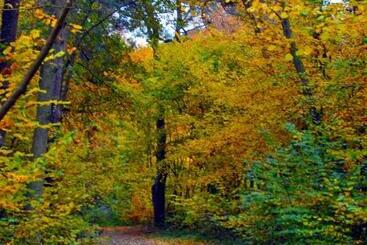 Отель Zwischen Den Seen