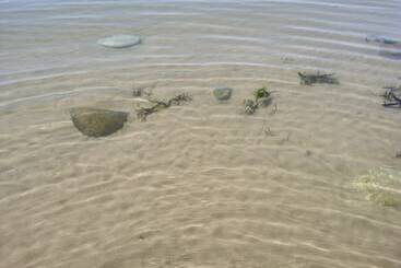 ツーリストアパートメント Sea And Mountain View Sunbeach Holiday Snowdonia
