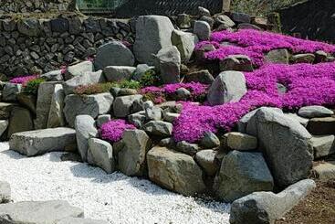 پانسیون Siawase No Yado Shared With Host   Vacation Stay 68283v