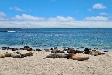 هتل Indigo Galapagos, An Ihg