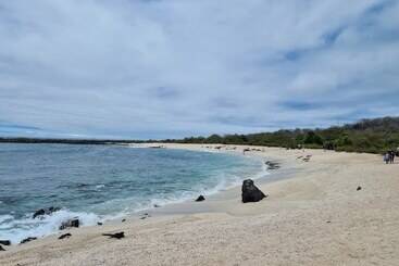 هتل Indigo   Galapagos, An Ihg