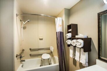 هتل La Quinta By Wyndham Baton Rouge Denham Springs