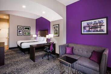 هتل La Quinta By Wyndham Baton Rouge Denham Springs