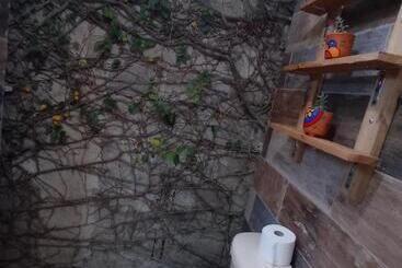 تختخواب و صبحانه Paraiso Hortensia Ecolodge