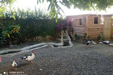 تختخواب و صبحانه Paraiso Hortensia Ecolodge