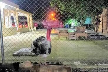 تختخواب و صبحانه Paraiso Hortensia Ecolodge