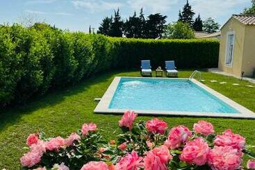 ペンション Un Coin Tropical En Provence !