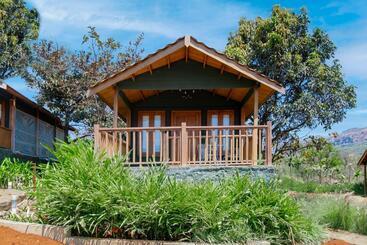 酒店 Canary Islands Resort & Spa