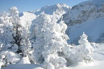 تختخواب و صبحانه The Alpina Lodge