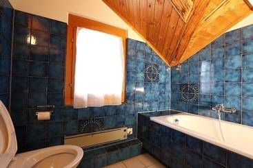 تختخواب و صبحانه The Alpina Lodge