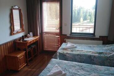 بنسيون вила родопи