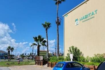 Habitat #7