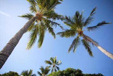 Airlie Sun & Sand Accommodation #4