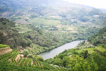 Casa Avós D Ouro   Barqueiros, Mesão Frio, Douro