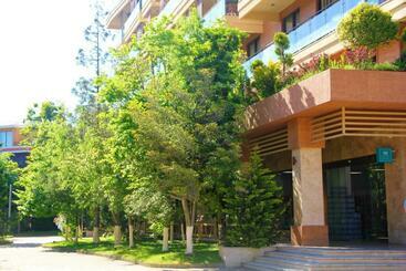 Dreamland Oasis Luxury 1801