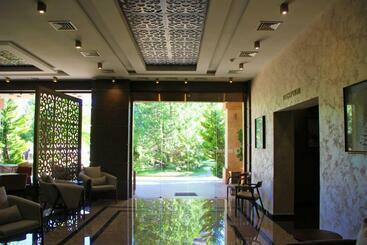 Dreamland Oasis Luxury 1801