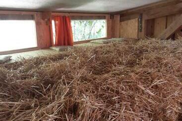 Pensionat La Ferme Du Bonheur   Chez L Gaby