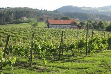 H&ap Rural Merrutxu