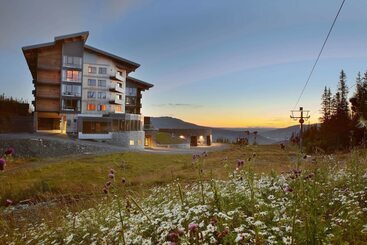 هتل Copperhill Mountain Lodge