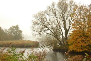 هتل De Brabantse Biesbosch