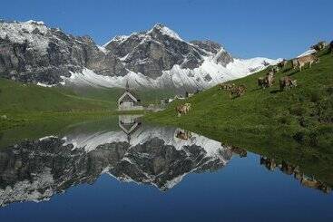 هتل Frutt Mountain Resort