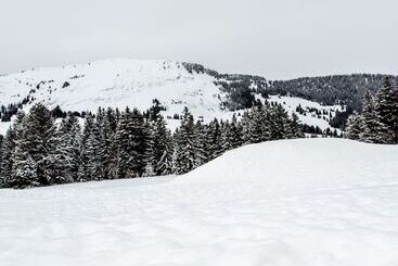 هتل Hôtel Le Relais Alpin