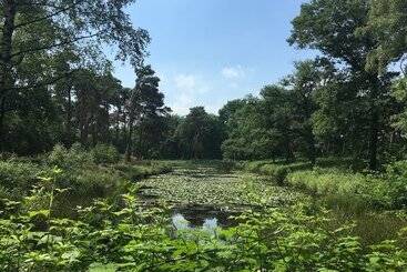 هتل Kapellerput Heeze Eindhoven