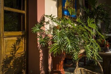 Mesón De Santa Elena Hotel Galeria