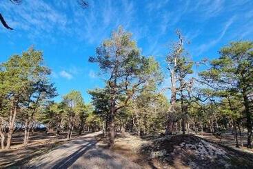 Trevlig Fritidshus På Norra öland
