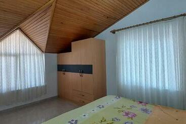 Arc House