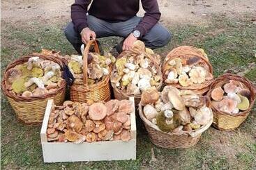 آپارتمان‌های توریست‌ها Aixopluc   Apartamento Centro Rio Ritort