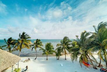 هتل Caribbean Lily @ Caribe Island