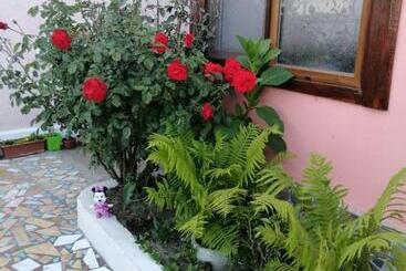 پانسیون Casa Ancora Sulina