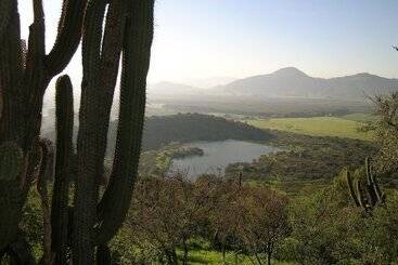 هتل Hacienda Los Lingues Chile Valle De Colchagua